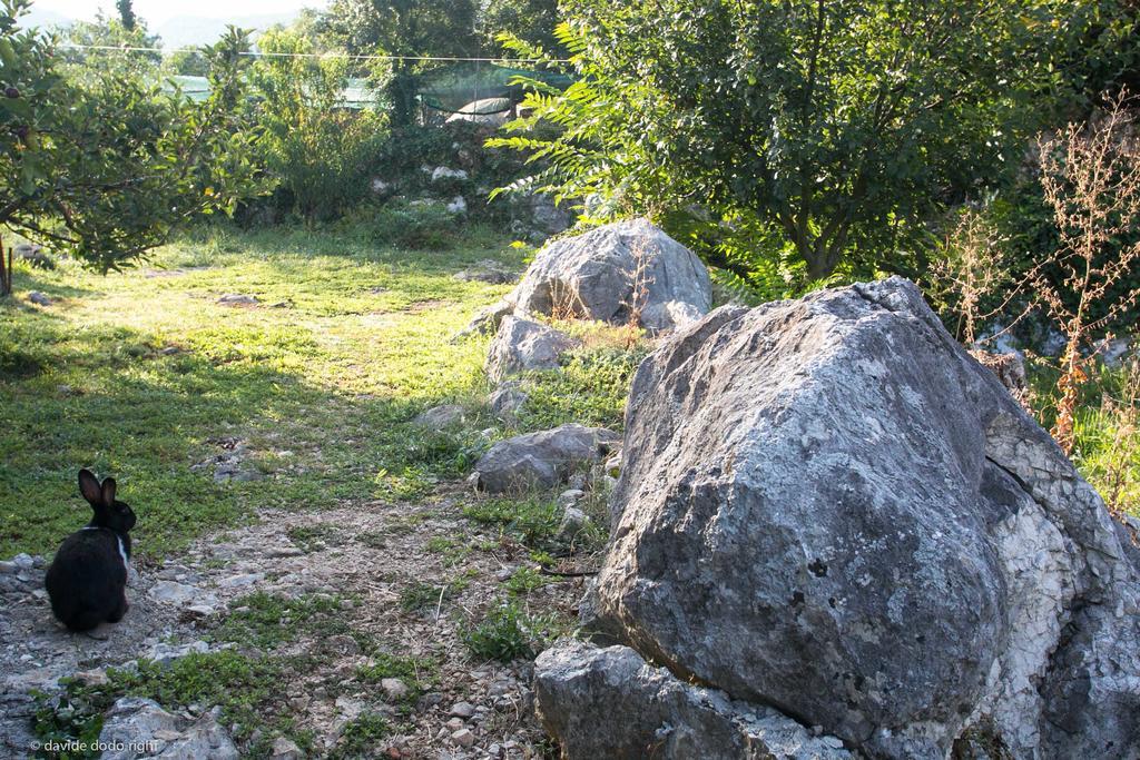 Agrotourism Matusko Guest House Neum Bagian luar foto